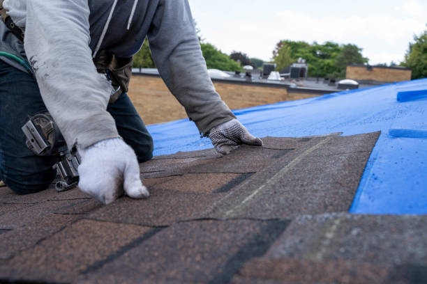 Best Commercial Roofing Services  in Lubeck, WV