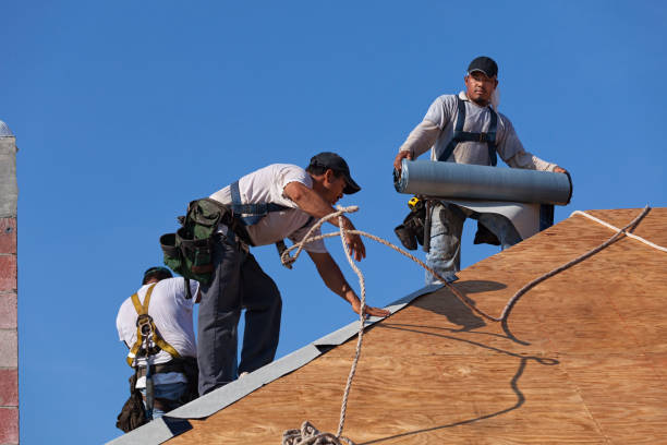 Best Gutter Installation and Roofing  in Lubeck, WV