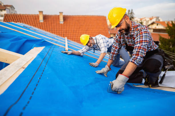 Best Roof Gutter Cleaning  in Lubeck, WV