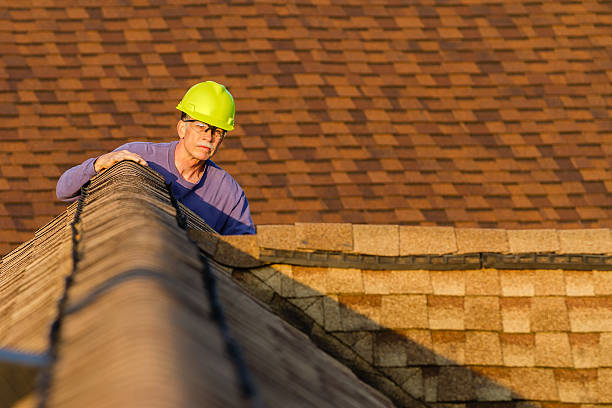 Best Roof Gutter Cleaning  in Lubeck, WV