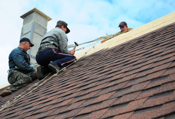 Best Local Roofing Companies  in Lubeck, WV