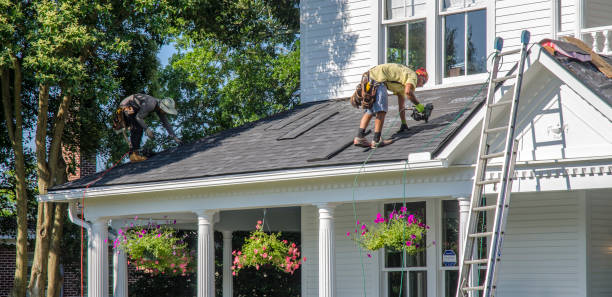 Best Local Roofing Companies  in Lubeck, WV