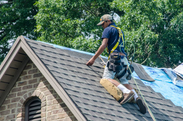 Best New Roof Installation  in Lubeck, WV